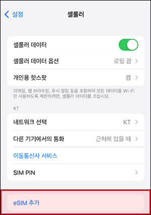 애플 셀룰러 설정